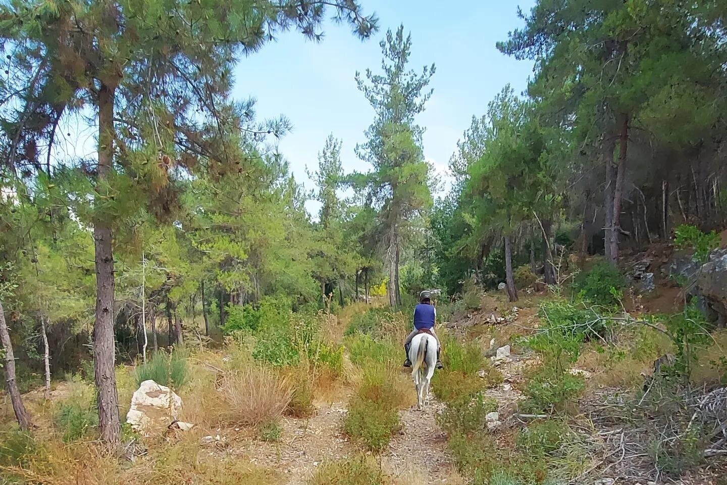 Guided horseback ride through Lebanon's countryside