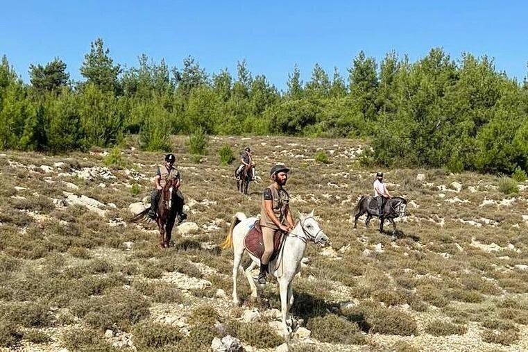Cedars Trail Riding horseback tour
